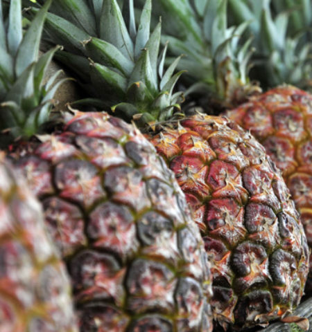 Picture 10 Things that Are Cheaper than Expected