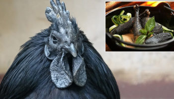 Picture 10 Expensive Food Items Cultivated Around the World