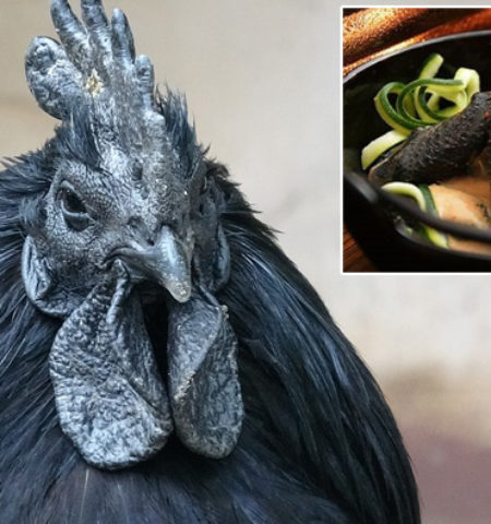 Picture 10 Expensive Food Items Cultivated Around the World