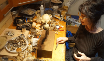 Picture An Artist Suffered Mysterious Symptoms for Years, and then She Realized Her Sculpture was the Reason