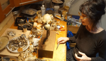 Picture An Artist Suffered Mysterious Symptoms for Years, and then She Realized Her Sculpture was the Reason