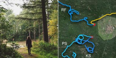 Picture 10 Random Fun Facts to Kill Your Boredom – Part 6