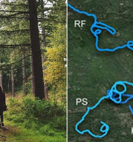 Picture 10 Random Fun Facts to Kill Your Boredom – Part 6