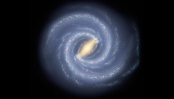 Picture 10 Easy-to-Believe Facts that Are Actually Fake