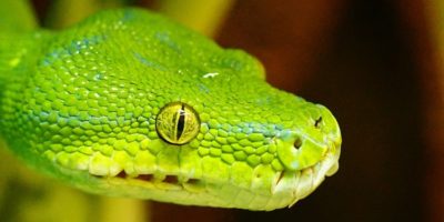 Picture 10 Commonly Known “Facts” that Are Completely False