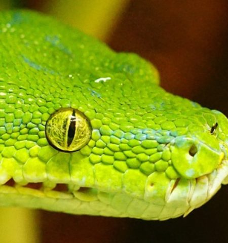 Picture 10 Commonly Known “Facts” that Are Completely False