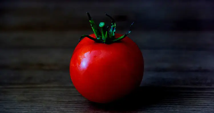 Tomato 