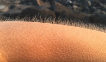 Picture 10 Facts About You that You Probably Never Knew