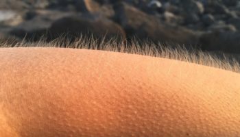 Picture 10 Facts About You that You Probably Never Knew