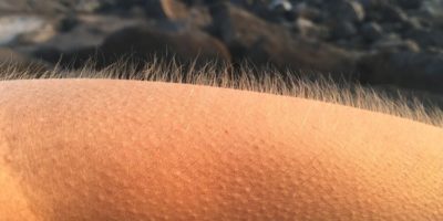 Picture 10 Facts About You that You Probably Never Knew