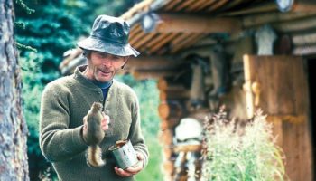 Picture Richard Proenneke, the American Naturalist and Former Heavy Equipment Operator, Built a Cabin and Spent 30 Years Alone in the Alaskan Wilderness