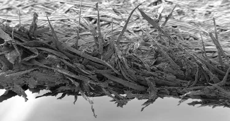Ripped paper under microscope