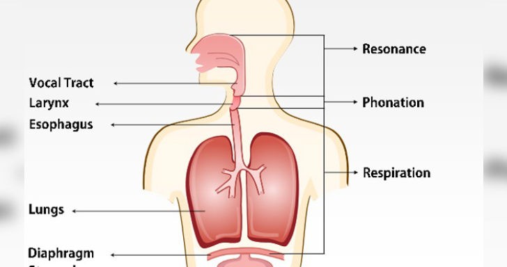 Why Does Your Voice Change When You Inhale Helium?