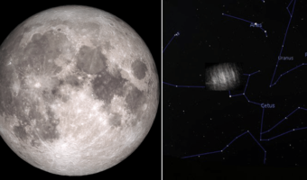 Picture Earth Has Two Hidden Moons, but They Are Not What You Might Expect