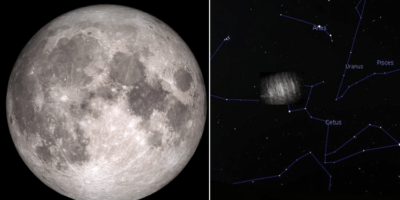 Picture Earth Has Two Hidden Moons, but They Are Not What You Might Expect