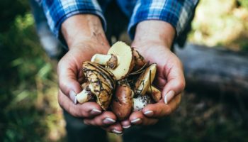 Picture 11 Random Facts to Kill Your Boredom – Part 7