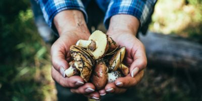 Picture 11 Random Facts to Kill Your Boredom – Part 7