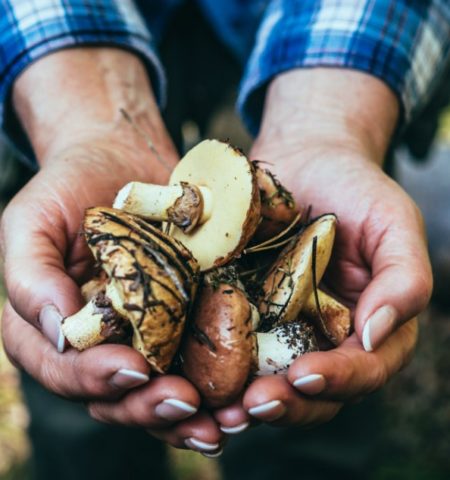 Picture 11 Random Facts to Kill Your Boredom – Part 7