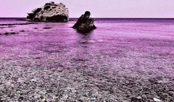 Picture Nicknamed “The Colorblind Island,” Pingelap Atoll is Home to 250 Residents, 10% of Whom are Completely Colorblind