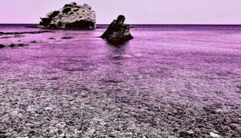 Picture Nicknamed “The Colorblind Island,” Pingelap Atoll is Home to 250 Residents, 10% of Whom are Completely Colorblind
