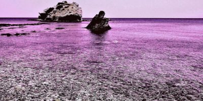 Picture Nicknamed “The Colorblind Island,” Pingelap Atoll is Home to 250 Residents, 10% of Whom are Completely Colorblind