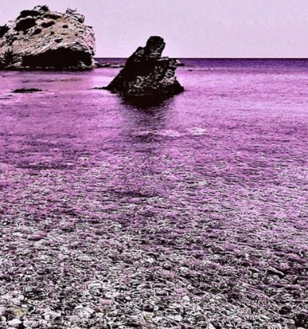 Picture Nicknamed “The Colorblind Island,” Pingelap Atoll is Home to 250 Residents, 10% of Whom are Completely Colorblind