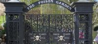 Picture England’s Poison Garden, the Deadliest Garden in the World, Contains Around 100 Species of Poisonous and Intoxicating Plants