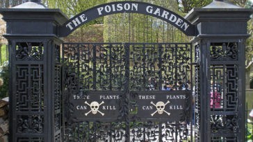 Alnwick Poison Garden