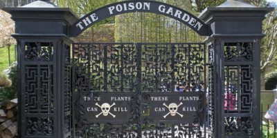 Picture England’s Poison Garden, the Deadliest Garden in the World, Contains Around 100 Species of Poisonous and Intoxicating Plants