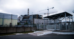 Radiation-Eating Fungus in Chernobyl