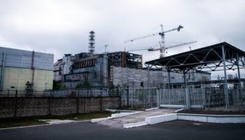 Picture Scientists Have Discovered Radiation-Eating Fungus on the Walls of the Chernobyl Nuclear Reactor, and it Might Be Useful to Humans