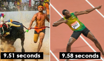 Picture Buffalo Racers from India Are Being Compared to Olympic Athlete and Jamaican Former Sprinter Usain Bolt, but Is it a Fair Comparison?