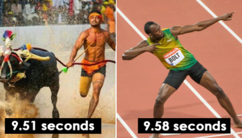 Picture Buffalo Racers from India Are Being Compared to Olympic Athlete and Jamaican Former Sprinter Usain Bolt, but Is it a Fair Comparison?