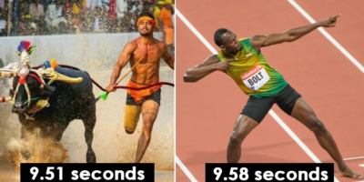 Picture Buffalo Racers from India Are Being Compared to Olympic Athlete and Jamaican Former Sprinter Usain Bolt, but Is it a Fair Comparison?