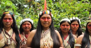 Ecuador Tribe Wins Legal Battle