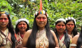 Picture This Indigenous Ecuador Tribe Won a Landmark Legal Battle Against Big Oil and Prevented Oil Drilling in the Amazon Rainforest