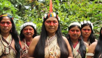 Picture This Indigenous Ecuador Tribe Won a Landmark Legal Battle Against Big Oil and Prevented Oil Drilling in the Amazon Rainforest