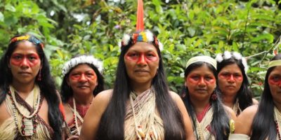 Picture This Indigenous Ecuador Tribe Won a Landmark Legal Battle Against Big Oil and Prevented Oil Drilling in the Amazon Rainforest