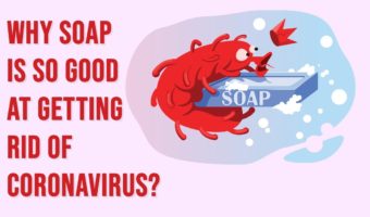 Picture Why is Soap Better than Hand Sanitizer at Getting Rid of Coronavirus?