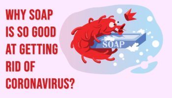 Picture Why is Soap Better than Hand Sanitizer at Getting Rid of Coronavirus?