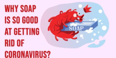 Picture Why is Soap Better than Hand Sanitizer at Getting Rid of Coronavirus?