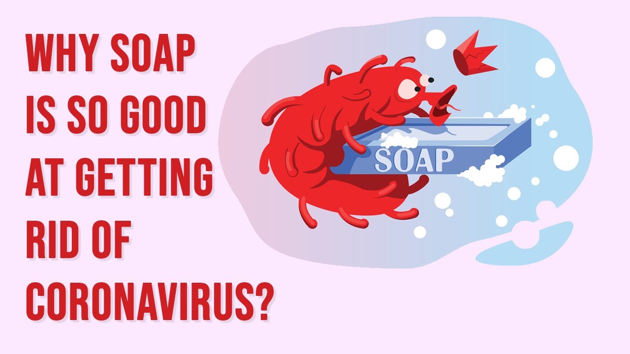 Why is Soap Better than Hand Sanitizer at Getting Rid of Coronavirus?
