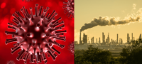 Picture Experts Believe that the Coronavirus Pandemic Can Help Us Fight Climate Change. Here Are a Few Lessons We Can Learn from this Crisis