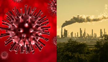 Picture Experts Believe that the Coronavirus Pandemic Can Help Us Fight Climate Change. Here Are a Few Lessons We Can Learn from this Crisis