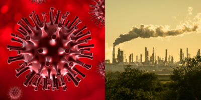 Picture Experts Believe that the Coronavirus Pandemic Can Help Us Fight Climate Change. Here Are a Few Lessons We Can Learn from this Crisis