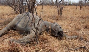 Picture 10 Genius Survival Hacks that Might Save Your Life One Day!