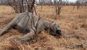 Picture 10 Genius Survival Hacks that Might Save Your Life One Day!