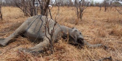 Picture 10 Genius Survival Hacks that Might Save Your Life One Day!