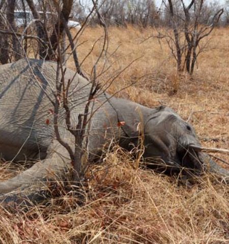 Picture 10 Genius Survival Hacks that Might Save Your Life One Day!