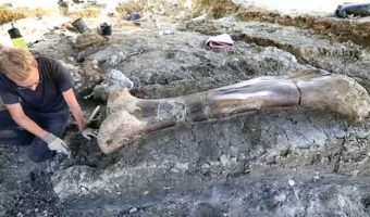 Picture 10 Archaeological Discoveries from Recent Years that Will Leave You Amazed